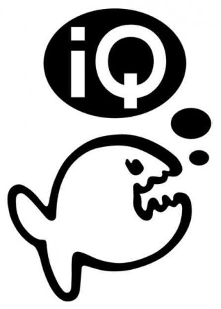 iQ